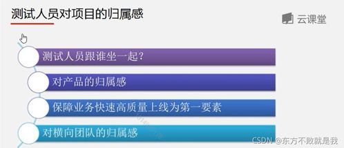 互聯(lián)網(wǎng)產(chǎn)品測試與信息安全軟件開發(fā) 構(gòu)建可信賴的數(shù)字化未來